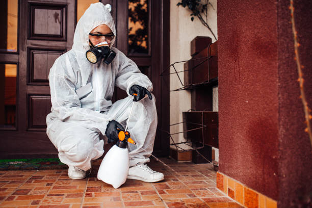 Reliable Ant Control contractor in San Jacinto, CA by Nex Pest Control